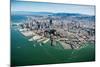 San Francisco Bay Piers Aloft-Steve Gadomski-Mounted Photographic Print