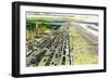 San Francisco Beach and Great Highway - San Francisco, CA-Lantern Press-Framed Art Print