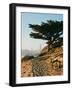 San Francisco Beach Sunset-Bethany Young-Framed Photographic Print