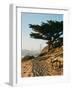 San Francisco Beach Sunset-Bethany Young-Framed Photographic Print