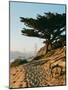 San Francisco Beach Sunset-Bethany Young-Mounted Photographic Print