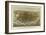 San Francisco Birds Eye View, c.1878-Charles R^ Parsons-Framed Art Print