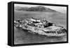 San Francisco, CA Aerial View of Alcatraz Island Photograph - San Francisco, CA-Lantern Press-Framed Stretched Canvas