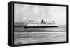 San Francisco, CA Bay with Redwood Empire Ferry Photograph - San Francisco, CA-Lantern Press-Framed Stretched Canvas