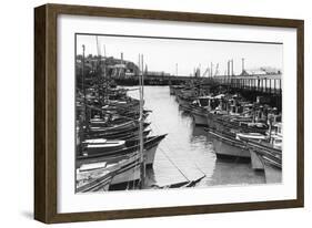 San Francisco, CA Fisherman's Wharf Boats Photograph - San Francisco, CA-Lantern Press-Framed Art Print