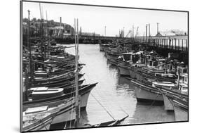 San Francisco, CA Fisherman's Wharf Boats Photograph - San Francisco, CA-Lantern Press-Mounted Art Print