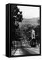 San Francisco, California - Cable Cars on Fillmore Street Hill-Lantern Press-Framed Stretched Canvas