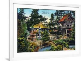 San Francisco, California - Golden Gate Park Japanese Tea Garden-Lantern Press-Framed Art Print