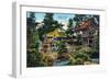 San Francisco, California - Golden Gate Park Japanese Tea Garden-Lantern Press-Framed Art Print