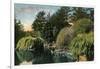 San Francisco, California - Golden Gate Park, View of Alvin Lake-Lantern Press-Framed Art Print