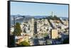 San Francisco, California, hills of the city and Coit Tower in sunshine.-Bill Bachmann-Framed Stretched Canvas