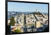 San Francisco, California, hills of the city and Coit Tower in sunshine.-Bill Bachmann-Framed Photographic Print