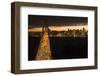 San Francisco, California, skyline and the Oakland Bay Bridge at evening.-Bill Bachmann-Framed Photographic Print