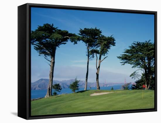 San Francisco, California, USA-null-Framed Stretched Canvas
