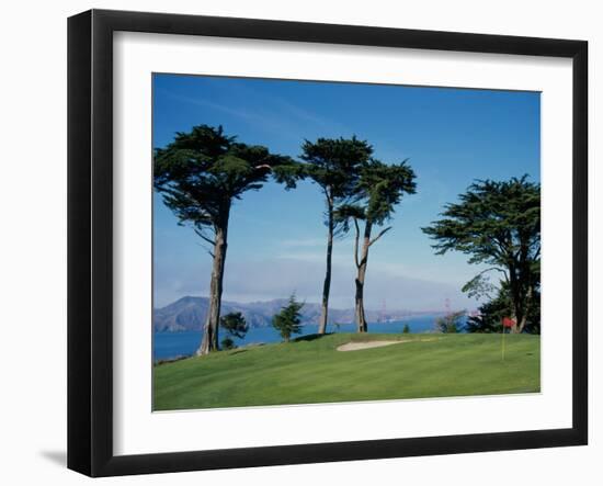 San Francisco, California, USA-null-Framed Premium Photographic Print