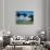 San Francisco, California, USA-null-Photographic Print displayed on a wall