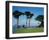 San Francisco, California, USA-null-Framed Photographic Print