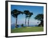 San Francisco, California, USA-null-Framed Photographic Print