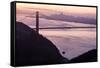 San Francisco, California, USA-Axel Brunst-Framed Stretched Canvas