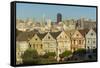 San Francisco, California, Victorian homes and city.-Bill Bachmann-Framed Stretched Canvas