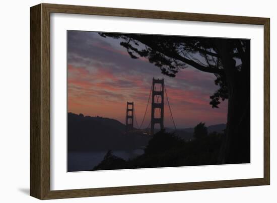 San Francisco, California-Anna Miller-Framed Photographic Print