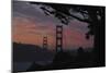 San Francisco, California-Anna Miller-Mounted Photographic Print