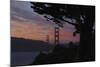 San Francisco, California-Anna Miller-Mounted Photographic Print