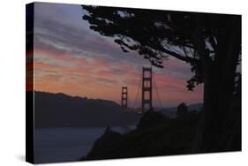 San Francisco, California-Anna Miller-Stretched Canvas