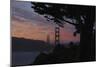 San Francisco, California-Anna Miller-Mounted Photographic Print