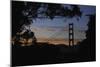 San Francisco, California-Anna Miller-Mounted Photographic Print