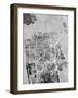 San Francisco City Street Map-Tompsett Michael-Framed Art Print