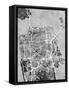 San Francisco City Street Map-Tompsett Michael-Framed Stretched Canvas