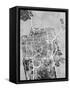 San Francisco City Street Map-Michael Tompsett-Framed Stretched Canvas