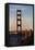 San_Francisco_D260-Craig Lovell-Framed Stretched Canvas