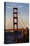 San_Francisco_D260-Craig Lovell-Stretched Canvas