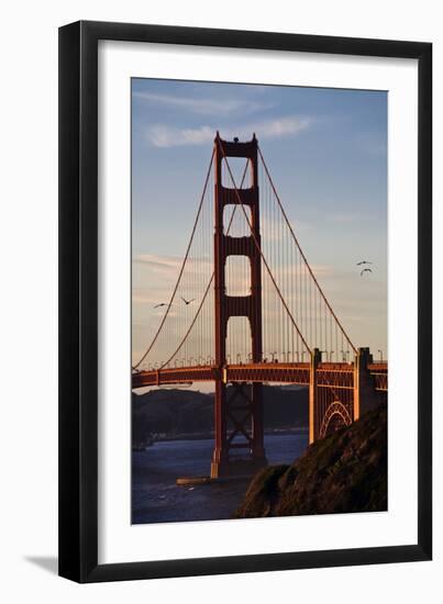 San_Francisco_D260-Craig Lovell-Framed Premium Photographic Print