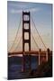 San_Francisco_D260-Craig Lovell-Mounted Premium Photographic Print