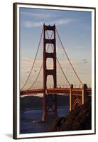 San_Francisco_D260-Craig Lovell-Framed Premium Photographic Print