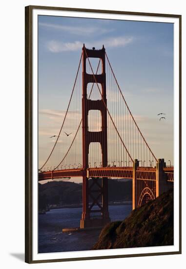 San_Francisco_D260-Craig Lovell-Framed Premium Photographic Print