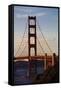San_Francisco_D260-Craig Lovell-Framed Stretched Canvas