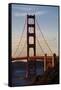 San_Francisco_D260-Craig Lovell-Framed Stretched Canvas