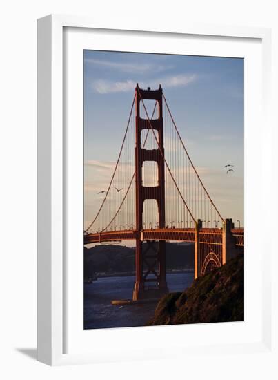 San_Francisco_D260-Craig Lovell-Framed Photographic Print