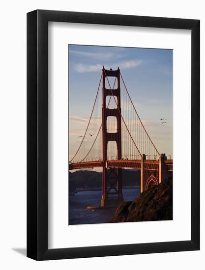 San_Francisco_D260-Craig Lovell-Framed Photographic Print