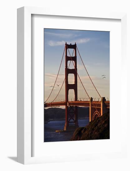 San_Francisco_D260-Craig Lovell-Framed Photographic Print