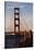 San_Francisco_D260-Craig Lovell-Stretched Canvas