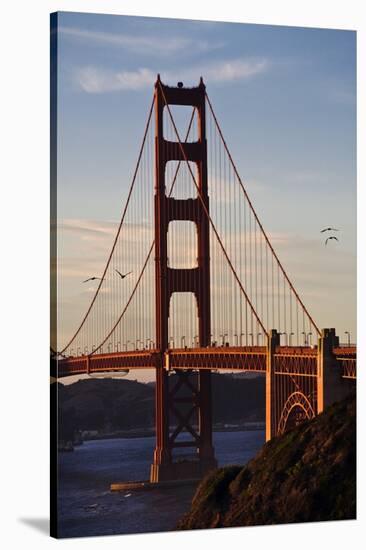 San_Francisco_D260-Craig Lovell-Stretched Canvas