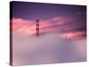 San Francisco Fog-Philippe Sainte-Laudy-Stretched Canvas