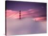 San Francisco Fog-Philippe Sainte-Laudy-Stretched Canvas