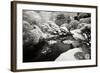 San Francisco Garden I-George Johnson-Framed Photographic Print