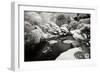 San Francisco Garden I-George Johnson-Framed Photographic Print